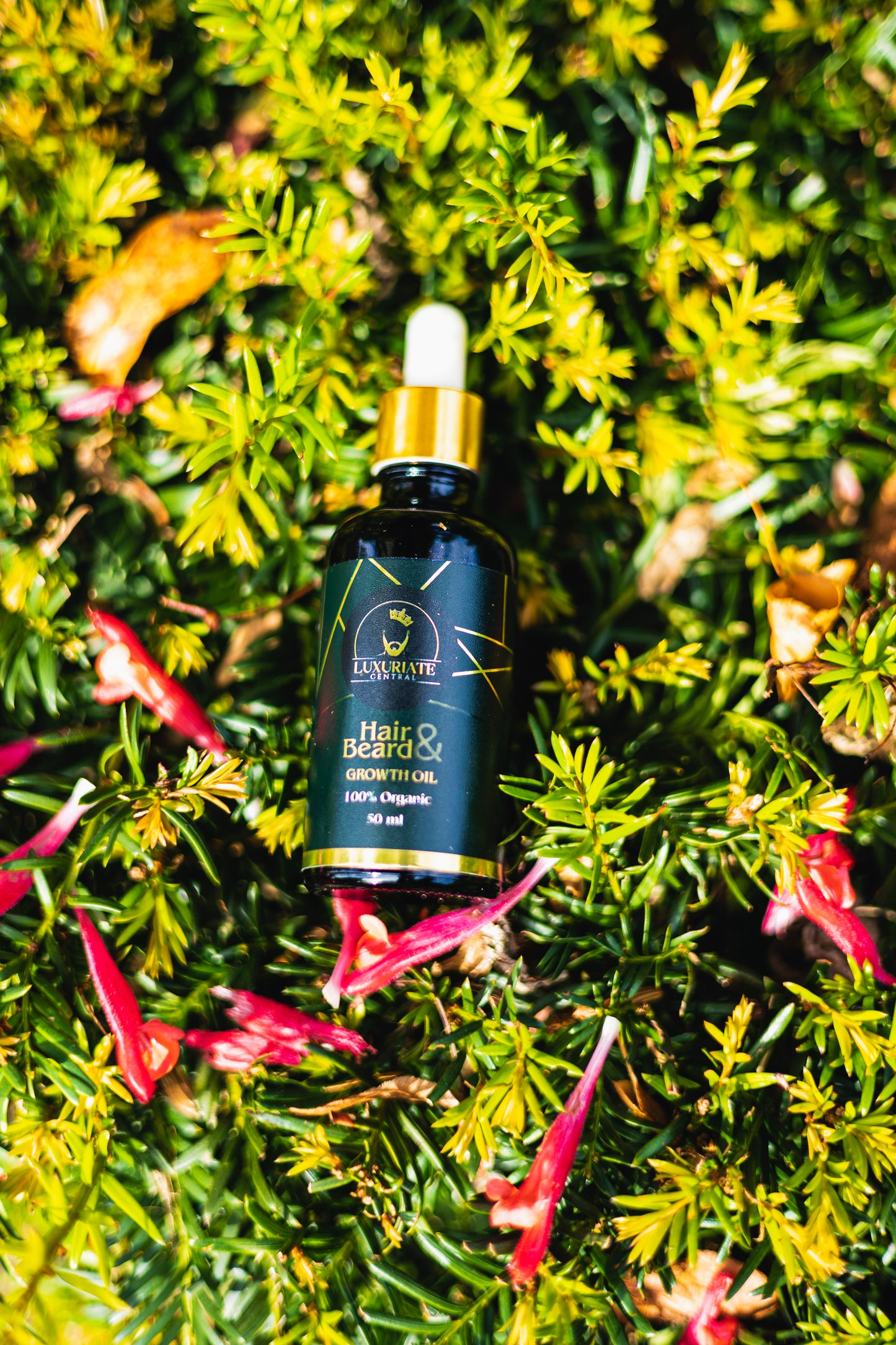 Luxuriate Hair & Beard Growth Oil 50ml